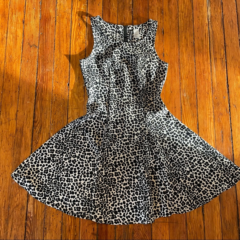 H&M Leopard Print Skater Dress